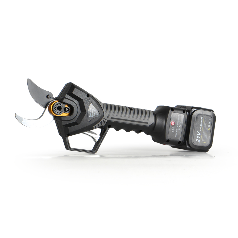 21V Electric Pole Pruning Shea - огляд і ціна Electric Pruner With Extension Pole