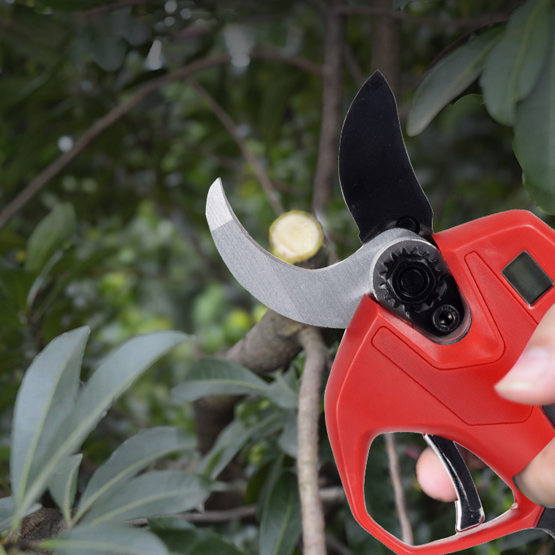 Garden Wireless Electric Pruni - огляд і ціна Electric Pruner With Extension Pole