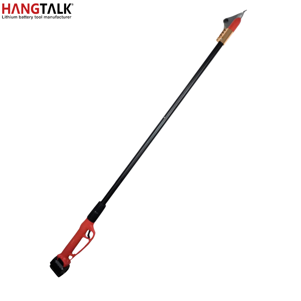 HANGTALK Professional Cordless - огляд і ціна Electric Pruner With Extension Pole
