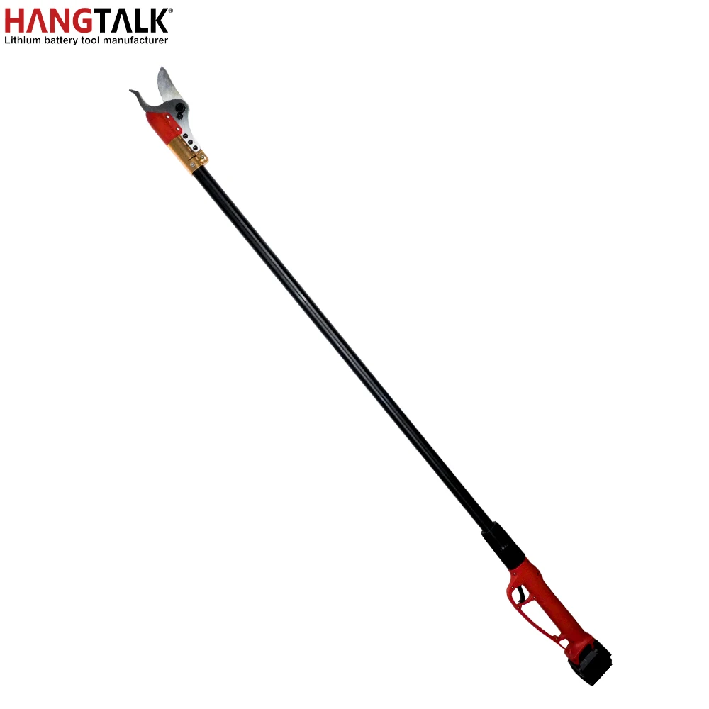 HANGTALK Professional Cordless - огляд і ціна Electric Pruner With Extension Pole