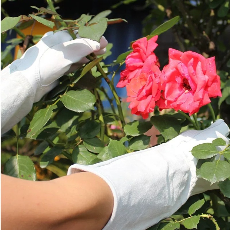 A Pair of Garden Gloves Thorn  - огляд і ціна Gardening Gloves Thorn Proof Leather