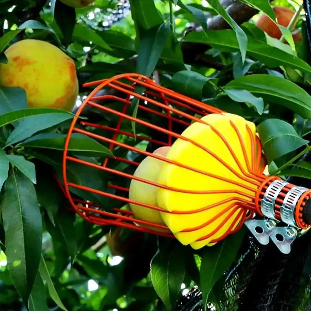 with Basket Fruit Picker Pole  - огляд і ціна Fruit Picker Basket Telescopic Pole