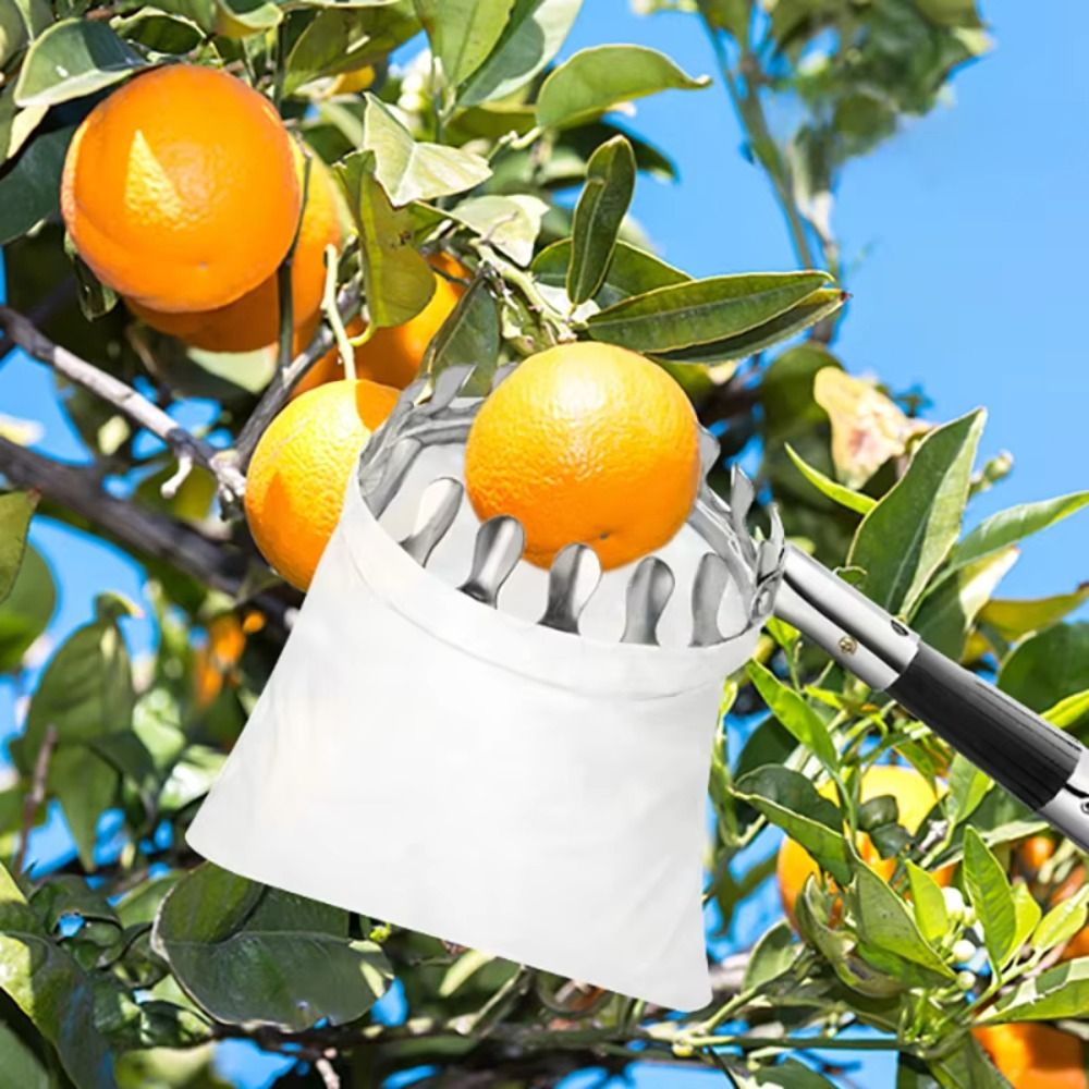 Stainless Steel Fruit Picker M - огляд і ціна Fruit Picker Basket Telescopic Pole