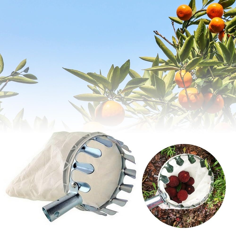 Stainless Steel Fruit Picker M - огляд і ціна Fruit Picker Basket Telescopic Pole