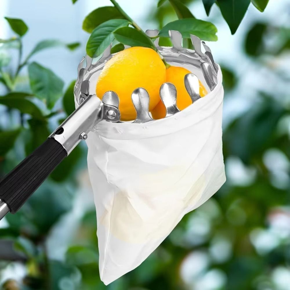 Stainless Steel Fruit Picker M - огляд і ціна Fruit Picker Basket Telescopic Pole