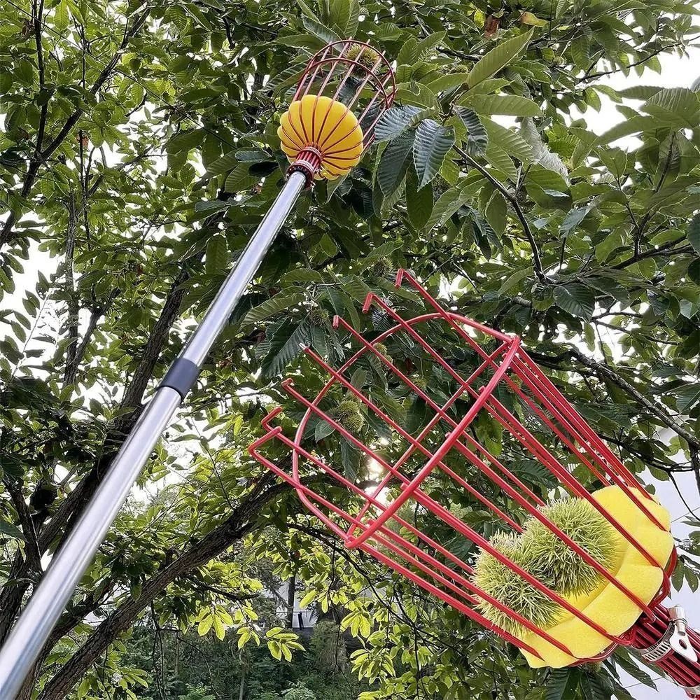 with Basket Fruit Picker Pole  - огляд і ціна Fruit Picker Basket Telescopic Pole