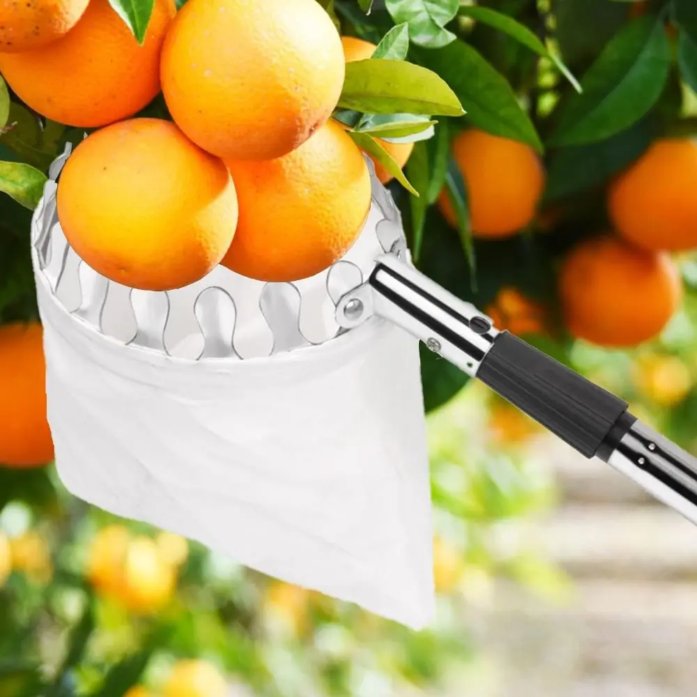 Stainless Steel Fruit Picker M - огляд і ціна Fruit Picker Basket Telescopic Pole