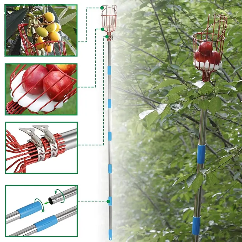 for Winslow & Ross High Qualit - огляд і ціна Fruit Picker Basket Telescopic Pole