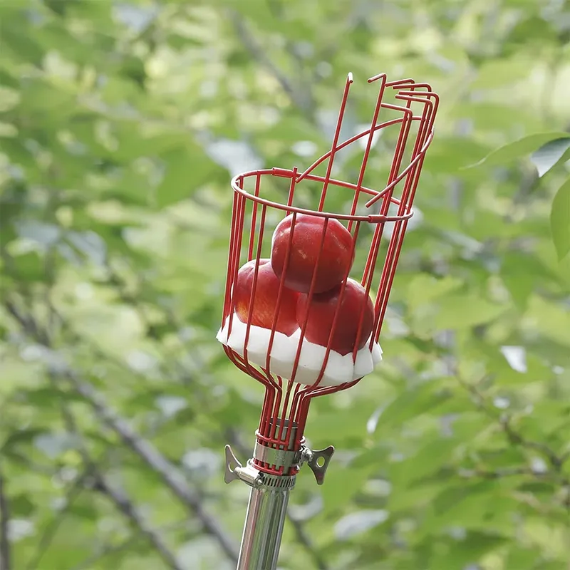 for Winslow & Ross High Qualit - огляд і ціна Fruit Picker Basket Telescopic Pole