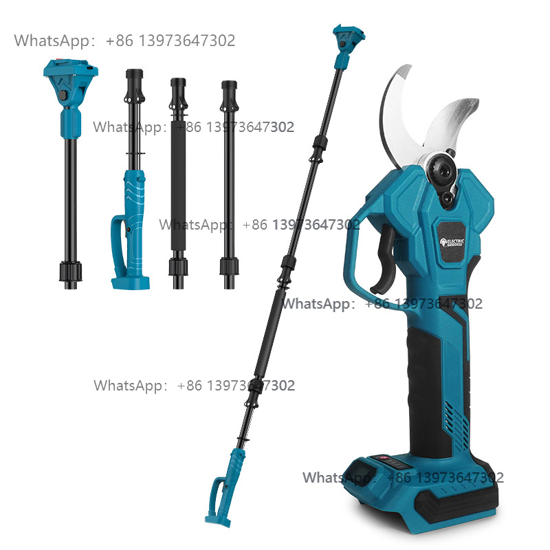 Electric Goddess for  18V Batt - огляд і ціна Electric Pruner With Extension Pole
