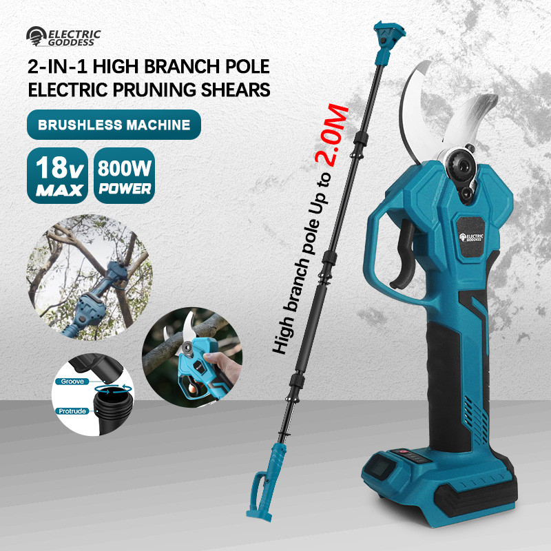 Electric Goddess for  18V Batt - огляд і ціна Electric Pruner With Extension Pole