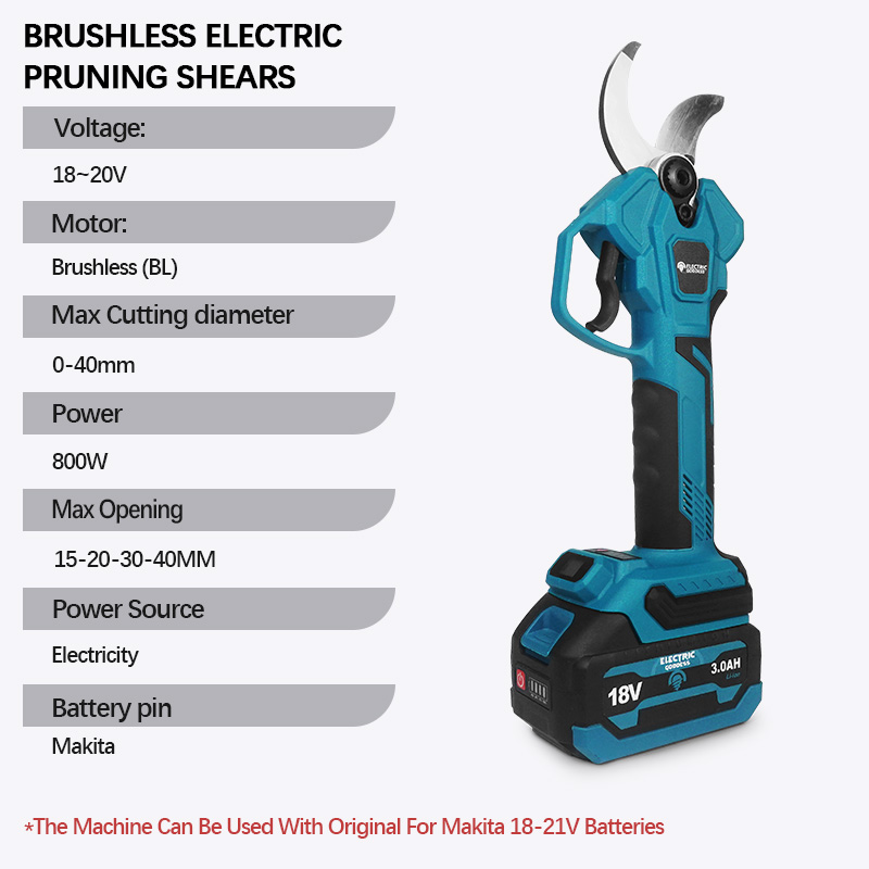 Electric Goddess for  18V Batt - огляд і ціна Electric Pruner With Extension Pole