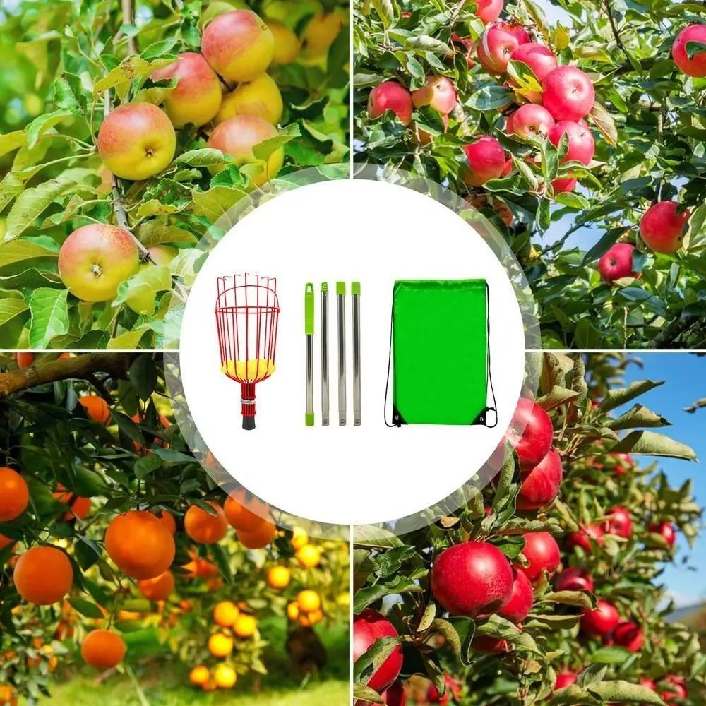with Basket Fruit Picker Pole  - огляд і ціна Fruit Picker Basket Telescopic Pole