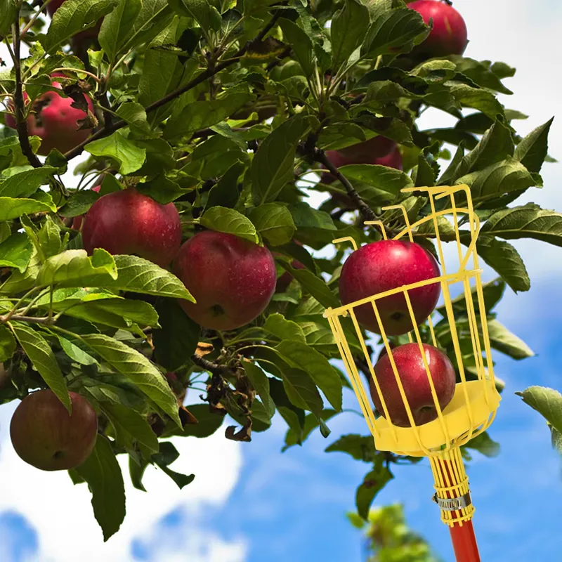 for Winslow & Ross Garden Port - огляд і ціна Fruit Picker Basket Telescopic Pole