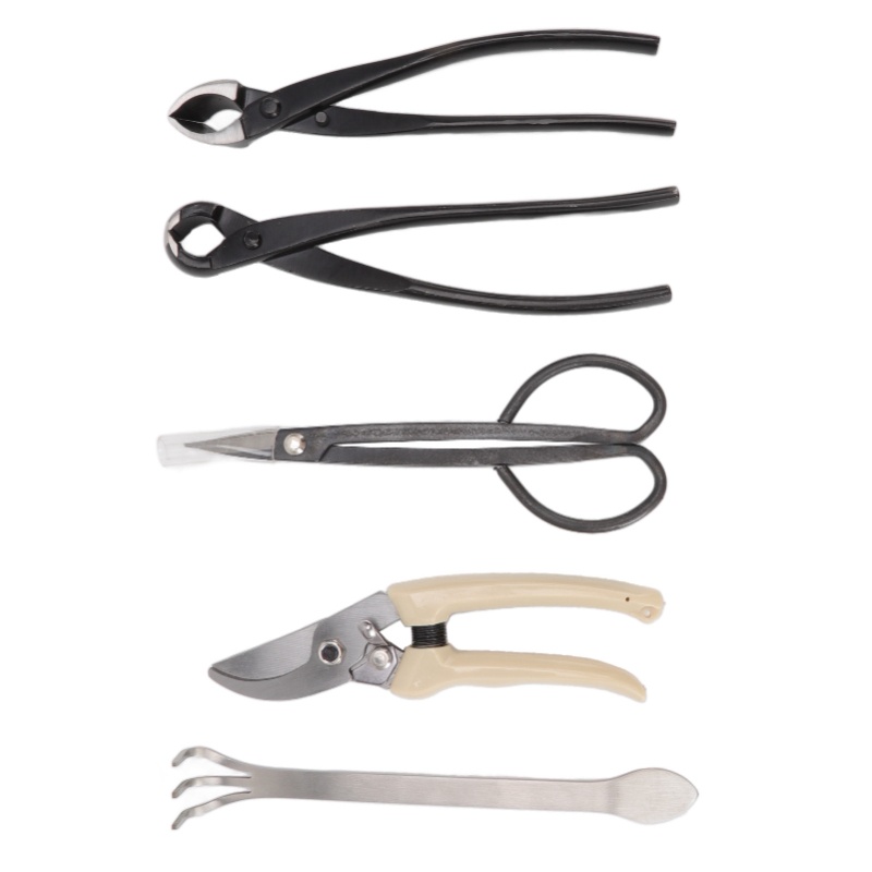 5Pcs Bonsai Tool Set Kit Carbo - огляд і ціна Bonsai Tool Set Stainless Carbon Steel