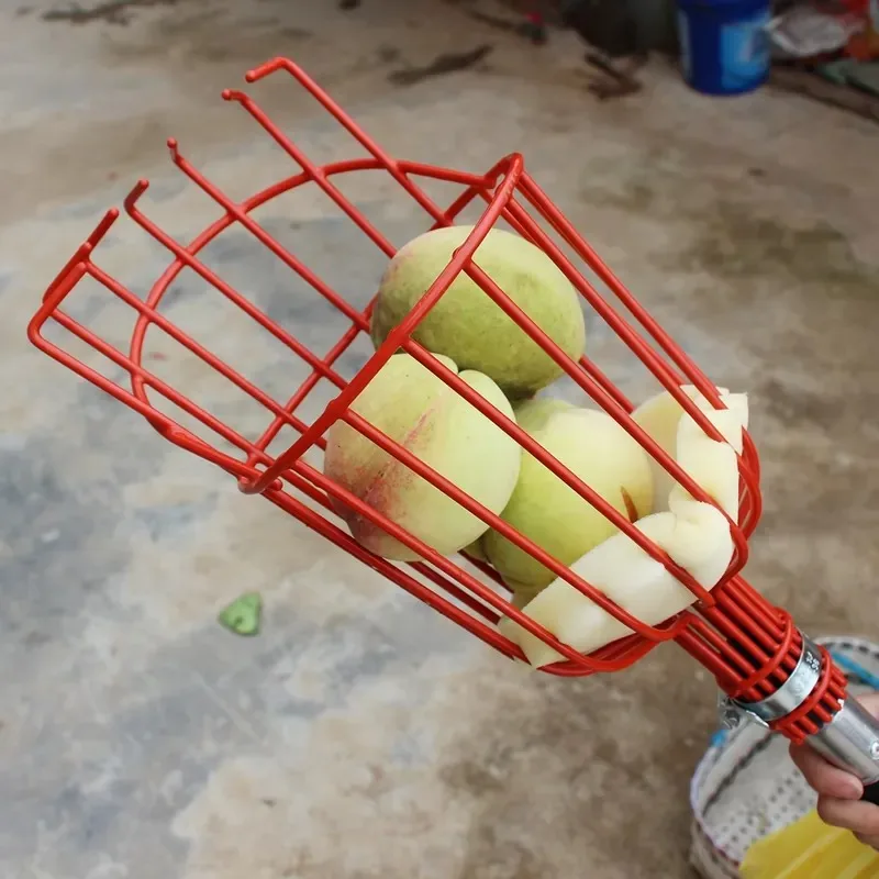 2026 Latest Fruit Picker Pole  - огляд і ціна Fruit Picker Basket Telescopic Pole